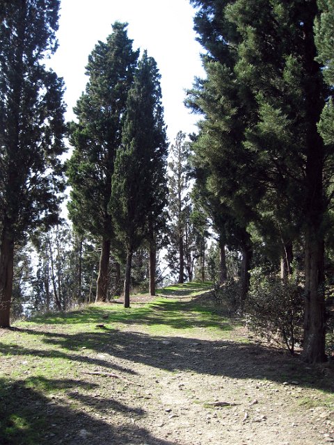 Fiesole - Parco di Montececeri-10.JPG